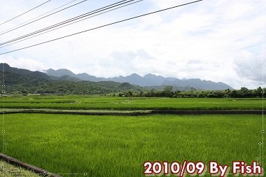 IMG_5889.jpg