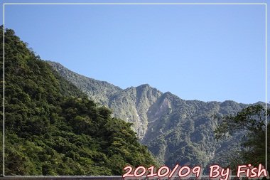 IMG_7063.jpg