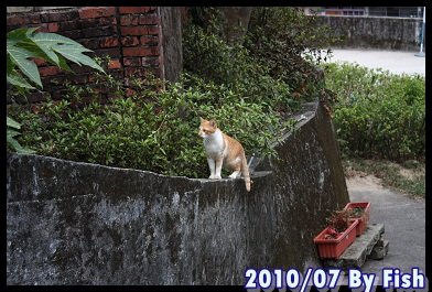 IMG_4506.jpg