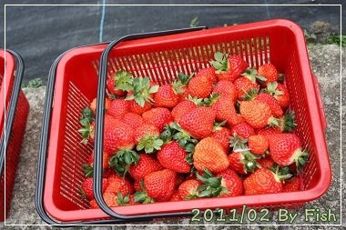 IMG_0844.jpg
