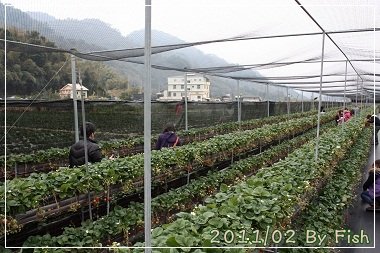 IMG_0837.jpg