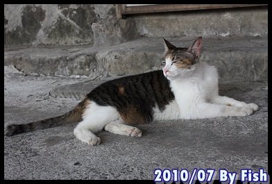 IMG_4467.jpg