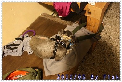 IMG_0701.jpg
