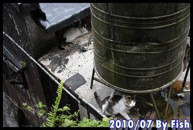 IMG_4516.jpg