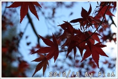 IMG_8636.jpg