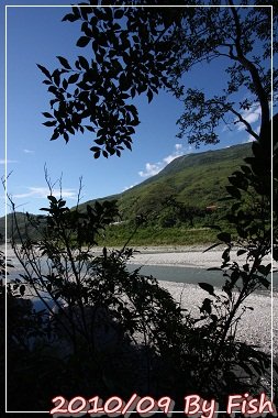 IMG_7130.jpg