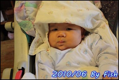 IMG_4075.jpg