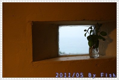 IMG_0568.jpg