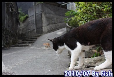 IMG_4494.jpg