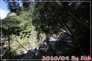 IMG_7103.jpg