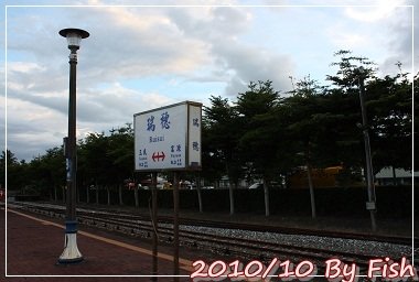 IMG_6337.jpg