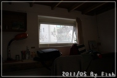 IMG_1445.jpg