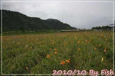 IMG_6179.jpg