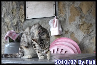 IMG_4461.jpg