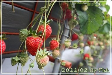 IMG_0839.jpg