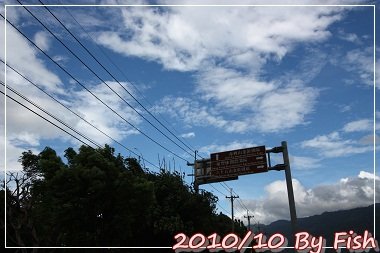 IMG_6176.jpg