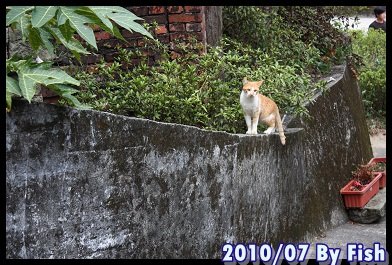 IMG_4505.jpg