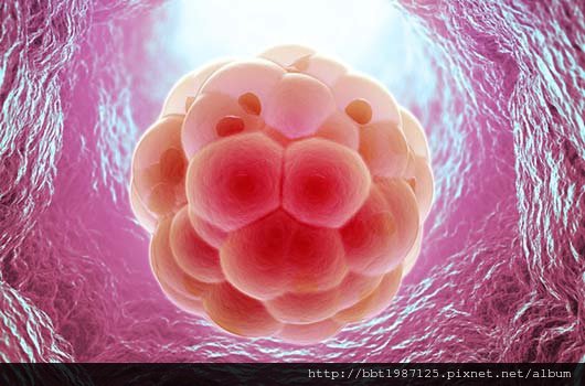 Fertility-Treatments-Update-We-Know-All-About-Egg-Freezing-But-Freezing-Embryos-MainPhoto.jpg