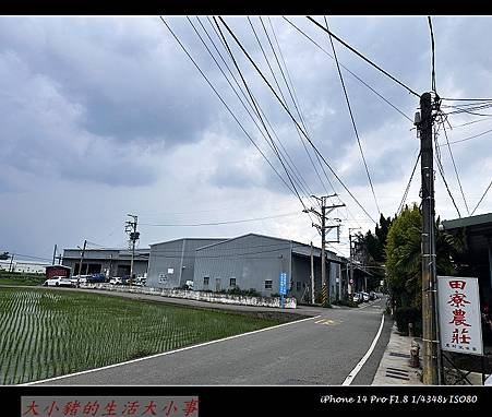 【田寮農莊】台中南屯的田園秘境：親子同樂的寵物友善景觀餐廳