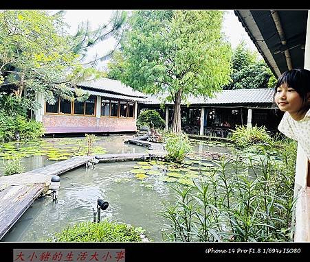 【田寮農莊】台中南屯的田園秘境：親子同樂的寵物友善景觀餐廳