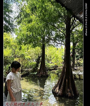 【田寮農莊】台中南屯的田園秘境：親子同樂的寵物友善景觀餐廳