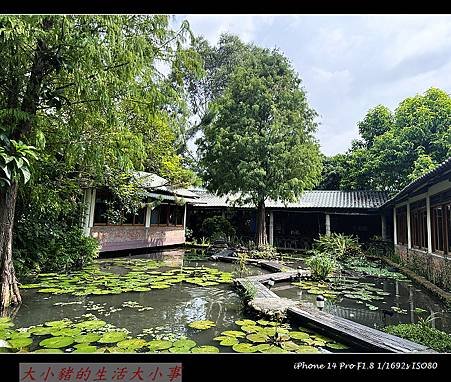 【田寮農莊】台中南屯的田園秘境：親子同樂的寵物友善景觀餐廳