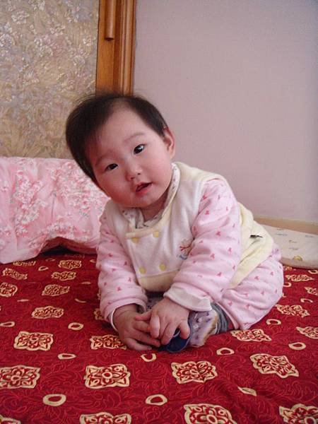 DSC04306 (600x800)