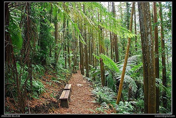 福山古道