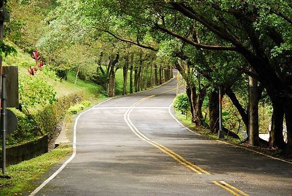 花園新城社區道路