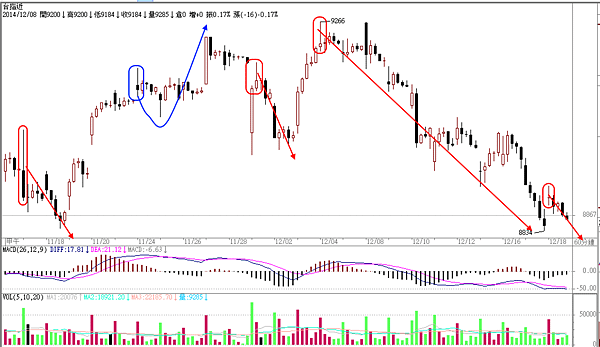 lavis -2