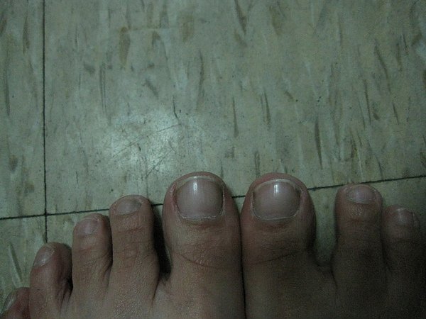 IMG_1327.jpg