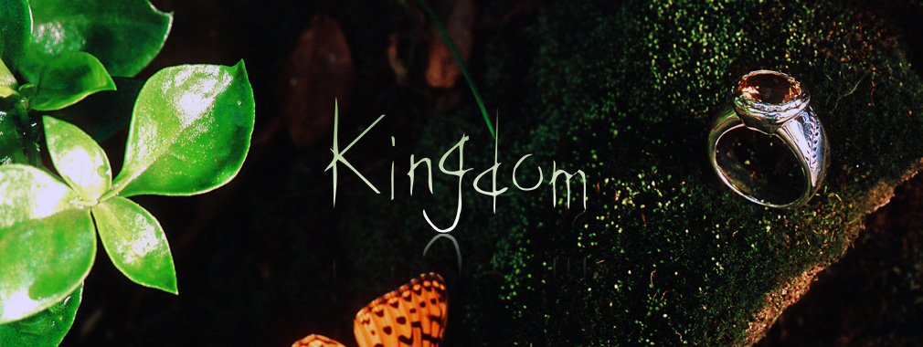 1010_380-top_kingdom