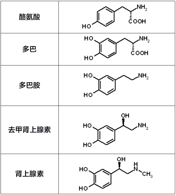 性成癮篩查測試（SAST）