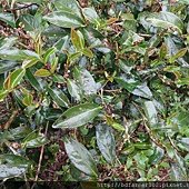 DSC00257