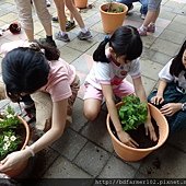 DSC00526