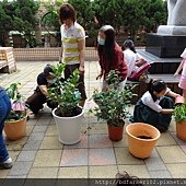 DSC00527