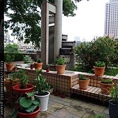 DSC00544