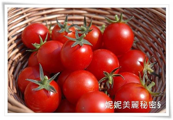 homegrown-tomatoes-basket