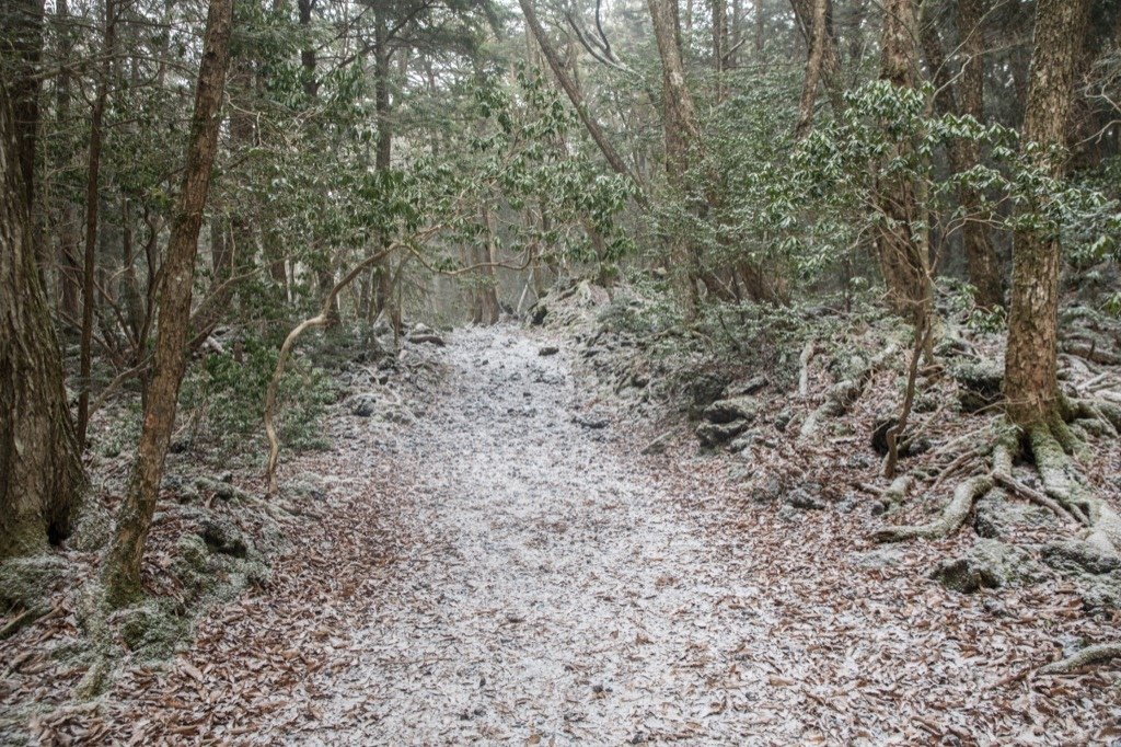 4V3A8718.jpg
