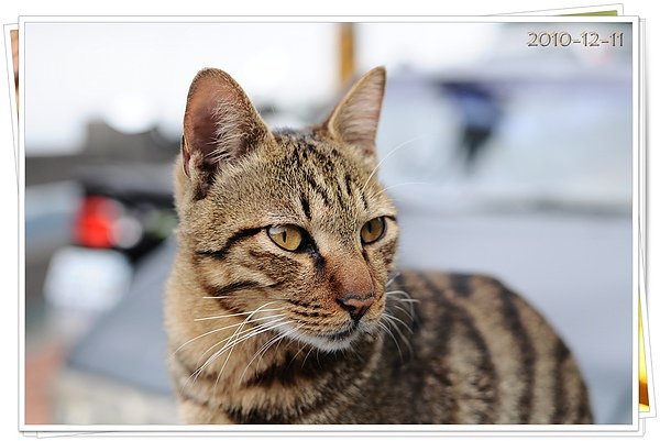 DSC_9906.JPG