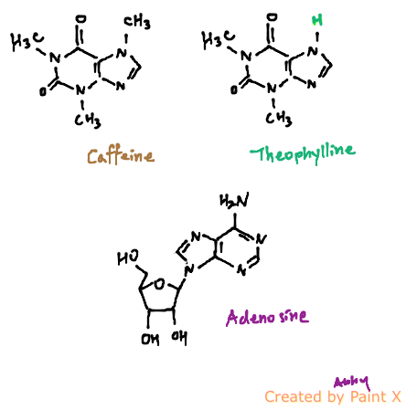 adenosine.png