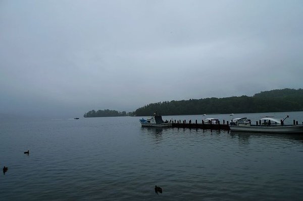 P1040353.jpg