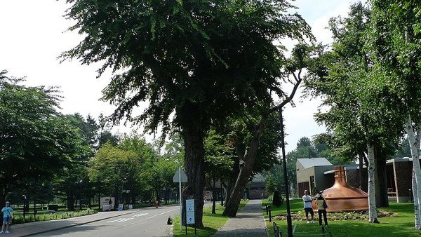 P1020793.jpg