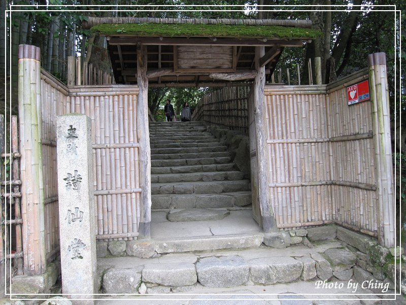P08.jpg