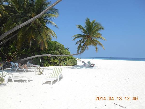 maafushi maldives 413 2014 (1)