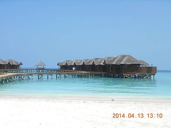 maafushi maldives 413 2014 (6)