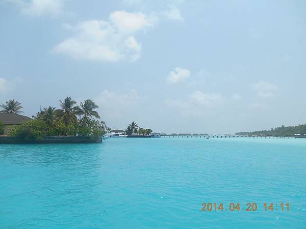 mal maldives  420 2014 (13)