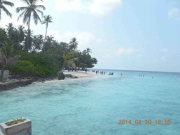 mal maldives  420 2014 (30)