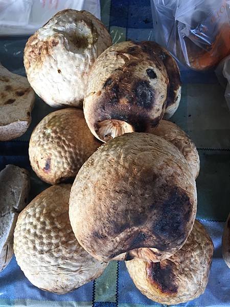 fry bread fruit.jpg