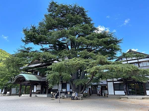 一個人一個月漫遊日本四國(一)香川縣篇